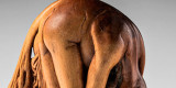 Capa-Escultura-interna-2