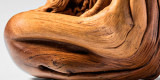 Capa-Escultura-interna-3