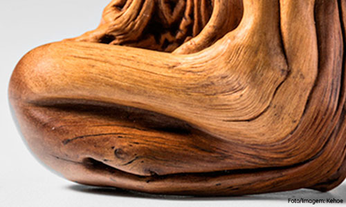 Capa-Escultura-interna-3