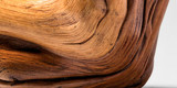 Capa-Escultura-interna-4