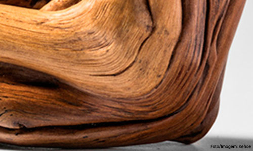 Capa-Escultura-interna-4
