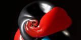 Capa-Vaso---interna-2