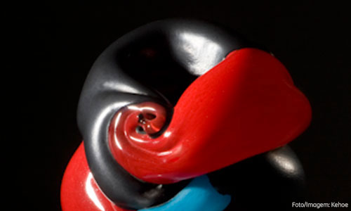 Capa-Vaso---interna-2
