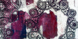 Capa--tapete-interna-2